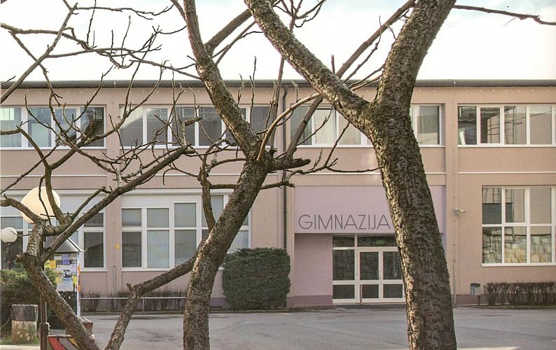  Logotip spletne strani gimnazija šiška 